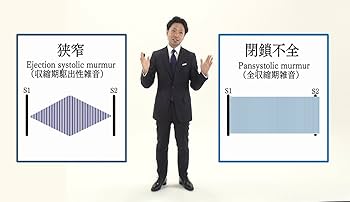 水野先生の貴重な講義DVD Dr.水野のうたう♪心音レクチャ Dr.水野のうたう♪心音レクチャー /ケアネットDVD | 水野 篤 |本